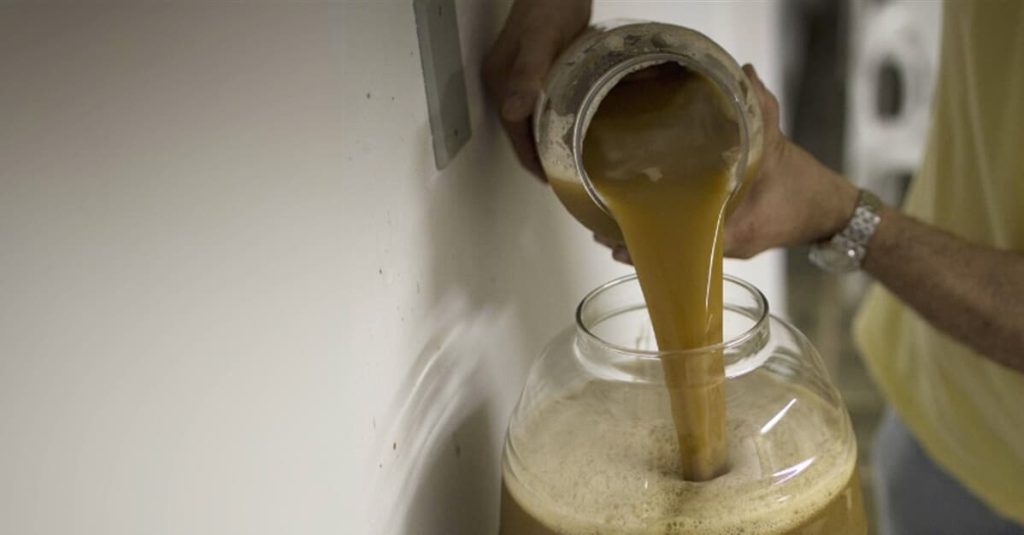 Juiz proíbe que criança tome chá de Ayahuasca em cultos com a mãe