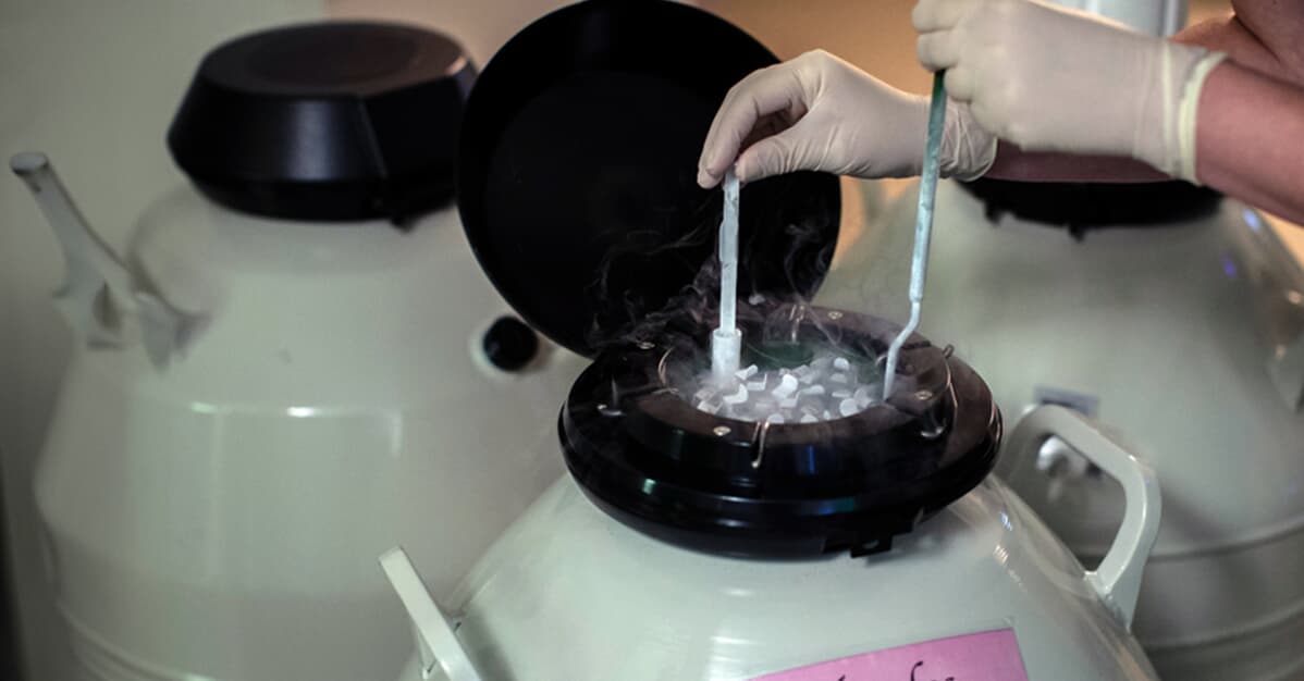 Plano terá de cobrir congelamento de óvulos de mulher com endometriose