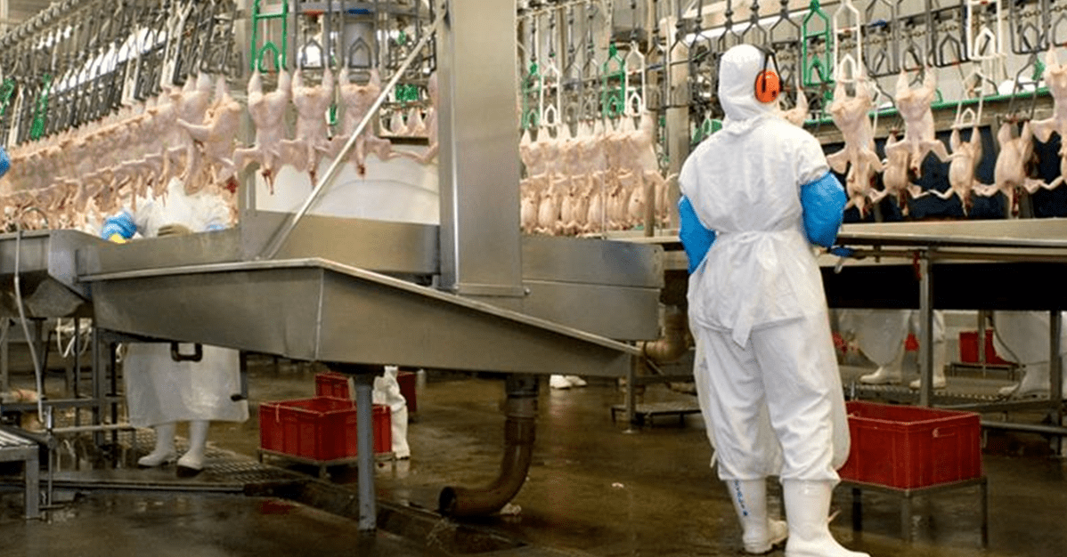 Empregada grávida que perdeu gêmeas durante expediente será indenizada