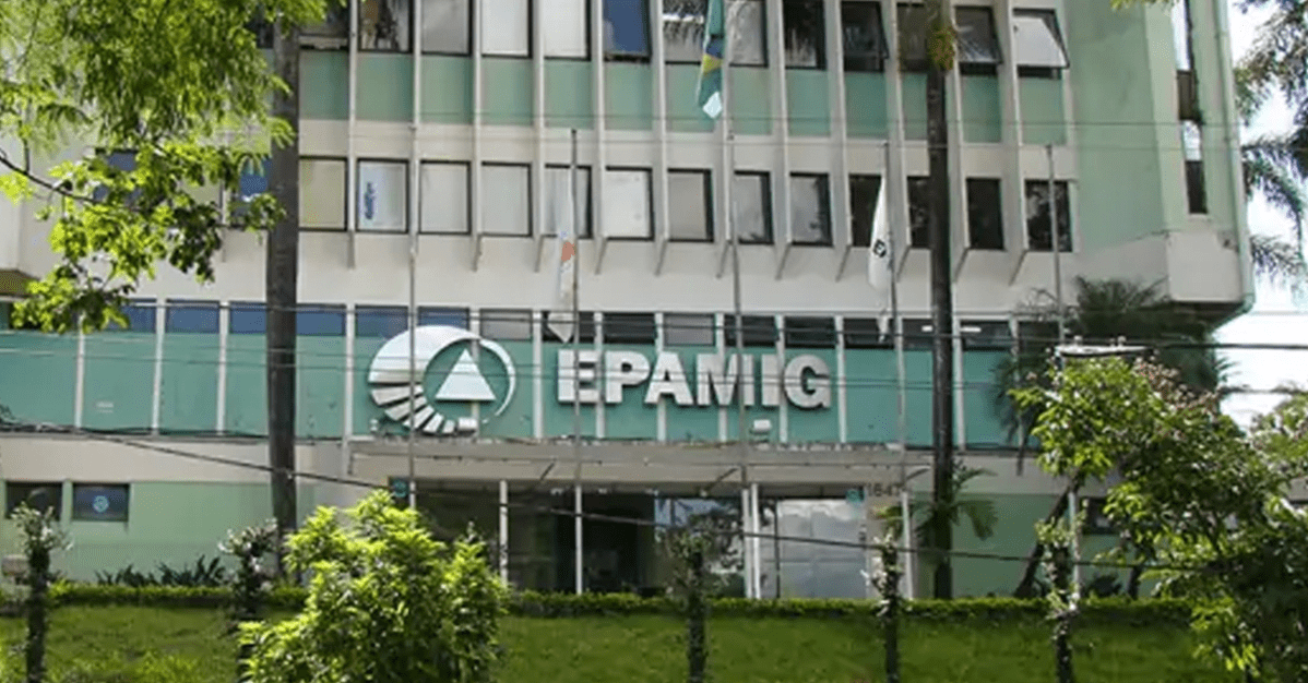 Maioria do STF mantém isenção fiscal à Epamig por serviço essencial