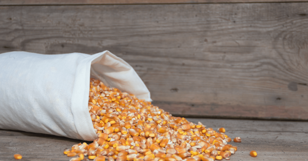 TJ/GO anula arresto de milho determinado durante recuperação judicial