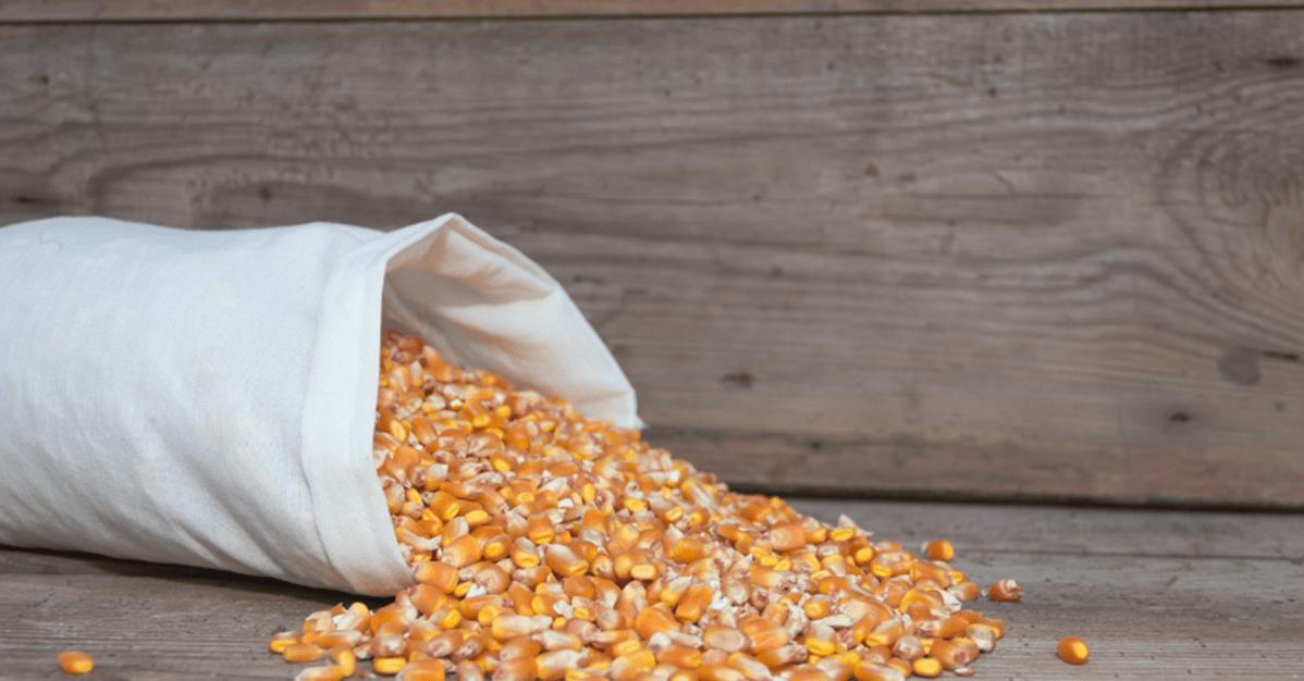 TJ/GO anula arresto de milho determinado durante recuperação judicial