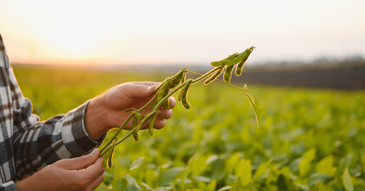 TJ/MT anula cobrança de royalties por patentes já vencidas